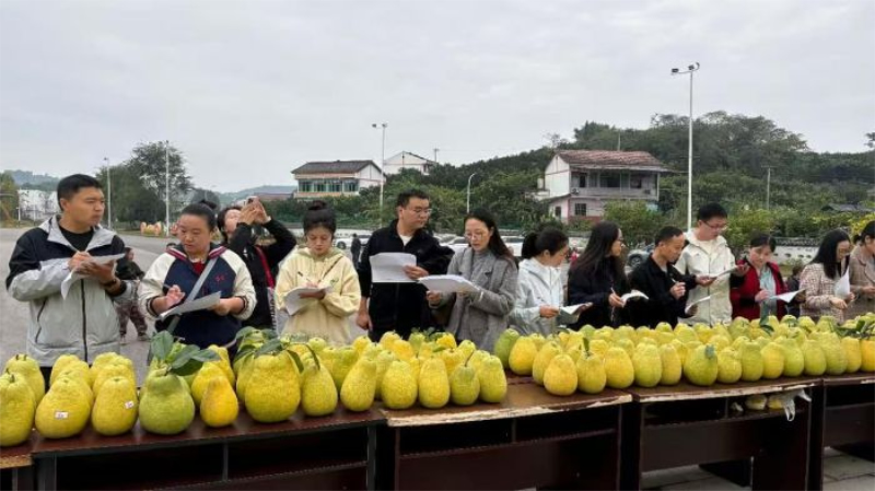 1762470951226417.jpg 未命名-1.jpg