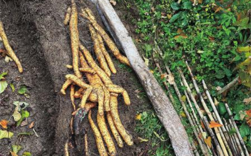 1762740713660464.jpg 未命名-1.jpg