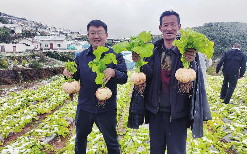 1762741216698400.jpg 未命名-1.jpg