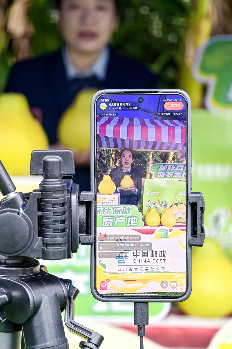 1762760417853282.jpg 未命名-1.jpg