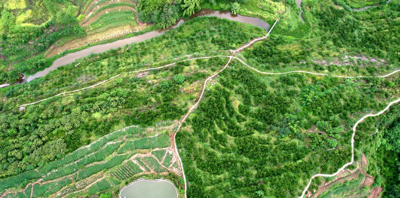 1762760709632628.jpg 未命名-1.jpg