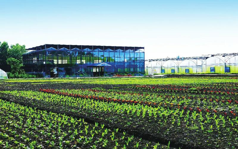 1762912809396990.jpg 未命名-1.jpg