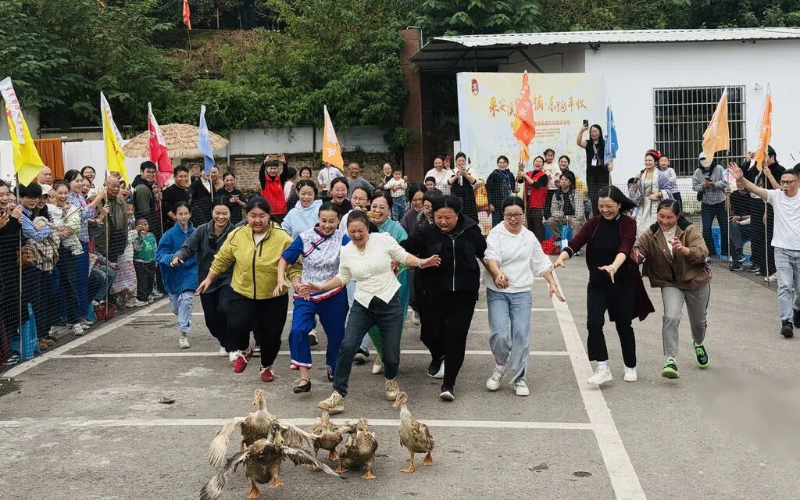 1762913809583975.jpg 未命名-1.jpg