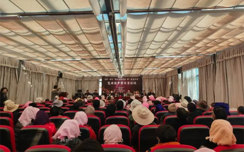 1762930677297724.jpg 未命名-1.jpg