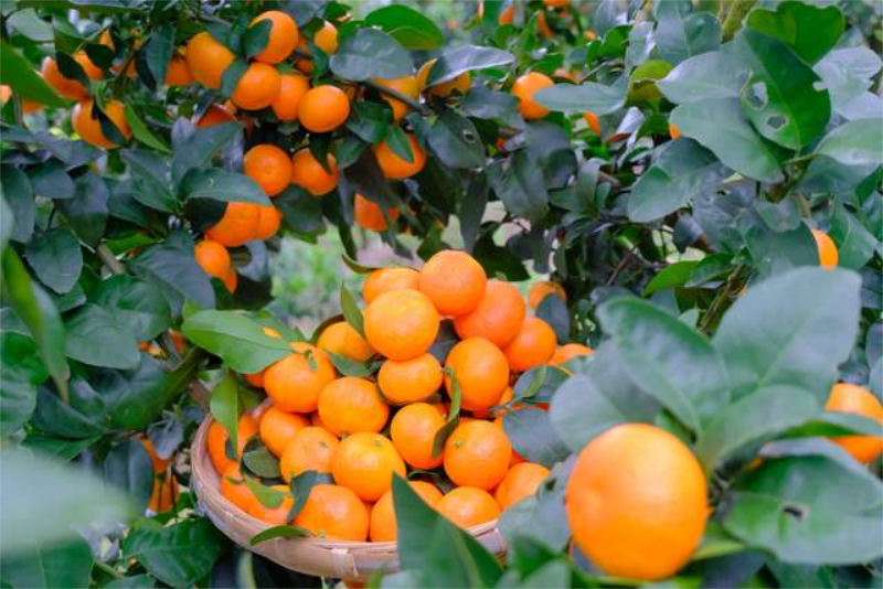 1763023487730422.jpg 未命名-1.jpg