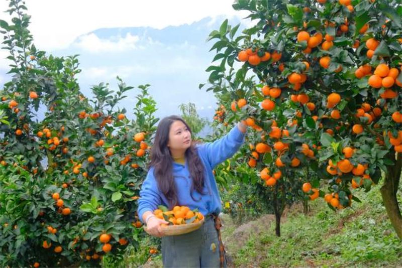 1763023502262947.jpg 未命名-1.jpg