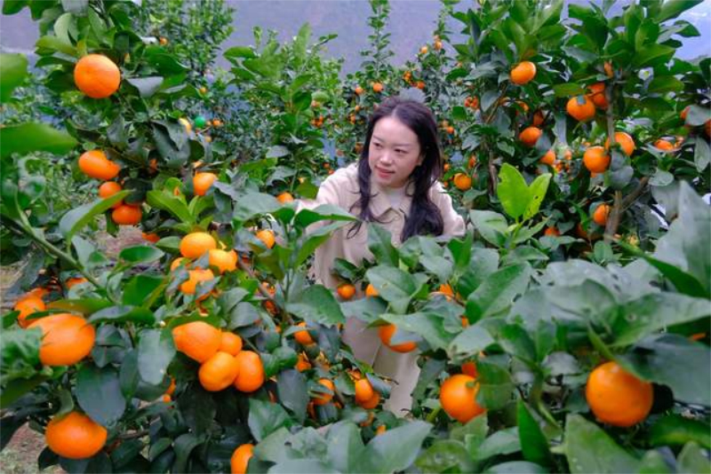 1763023520155967.jpg 未命名-1.jpg