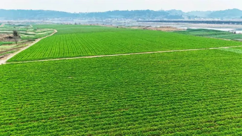 1763024277591090.jpg 未命名-1.jpg