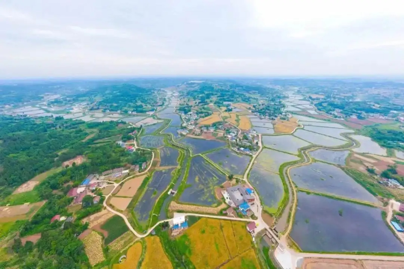 1763024391528929.jpg 未命名-1.jpg