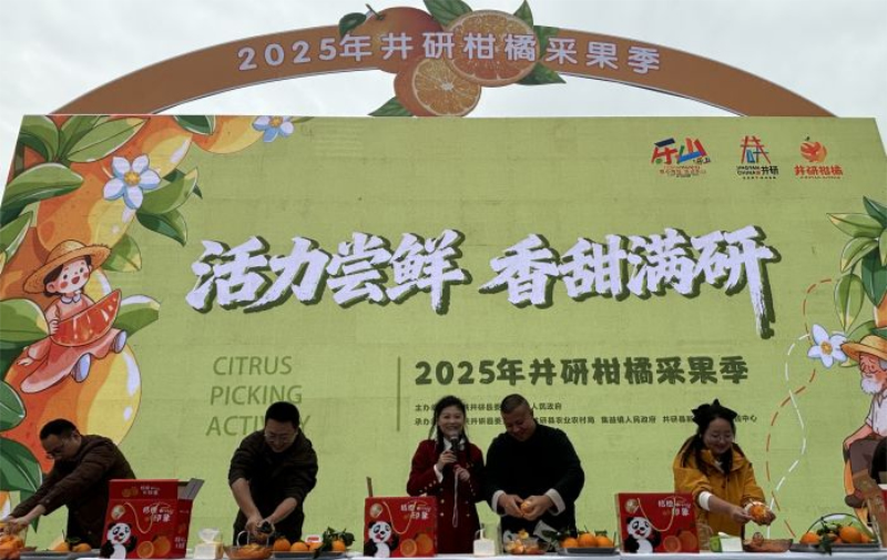 1763090530426751.jpg 未命名-1.jpg