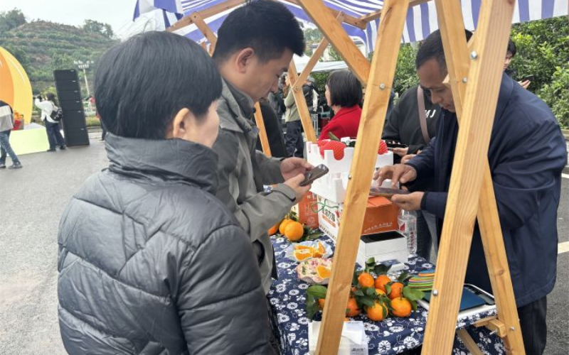 1763090564233240.jpg 未命名-1.jpg