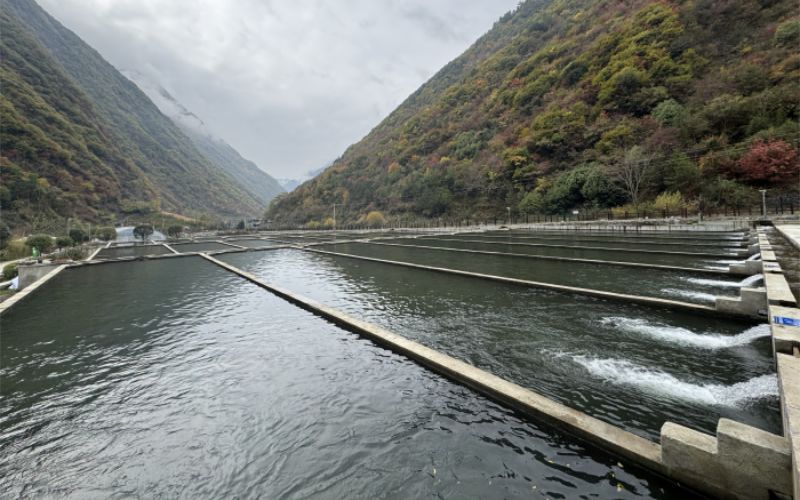 1763347526506396.jpg 未命名-1.jpg