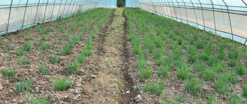 1763347849951159.jpg 未命名-1.jpg