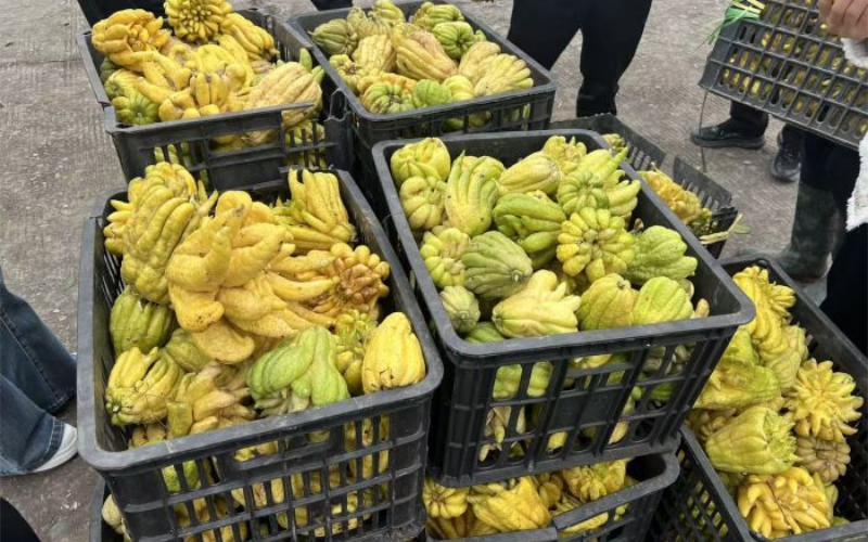 1763348054210916.jpg 未命名-1.jpg