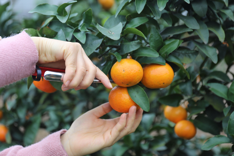 1763362659553396.jpg 未命名-1.jpg