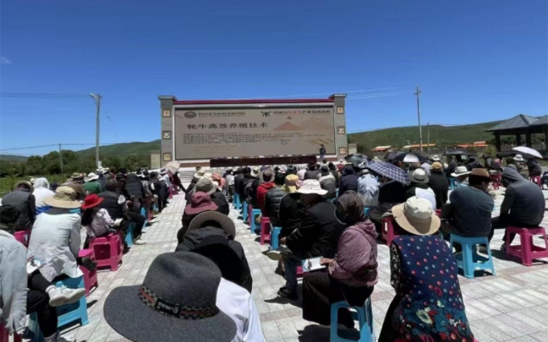 1763435012503709.jpg 未命名-1.jpg