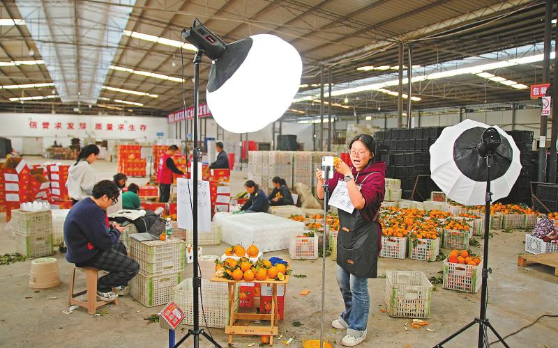 1763520811830096.jpg 未命名-1.jpg