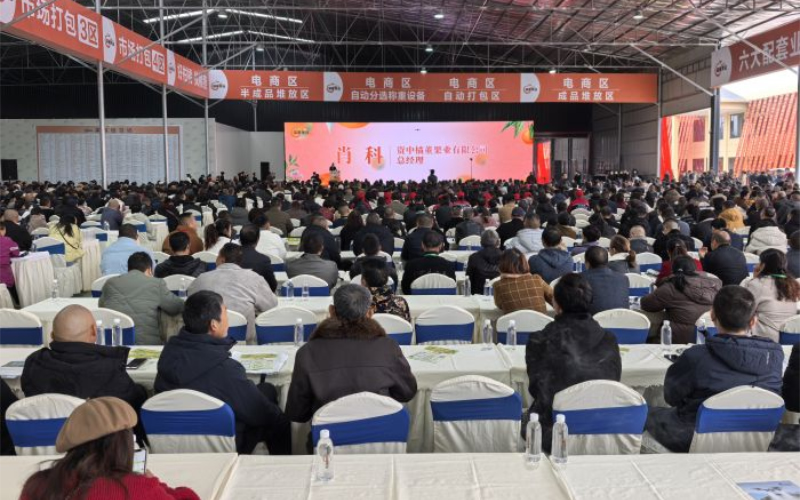 1763539600983885.jpg 未命名-1.jpg