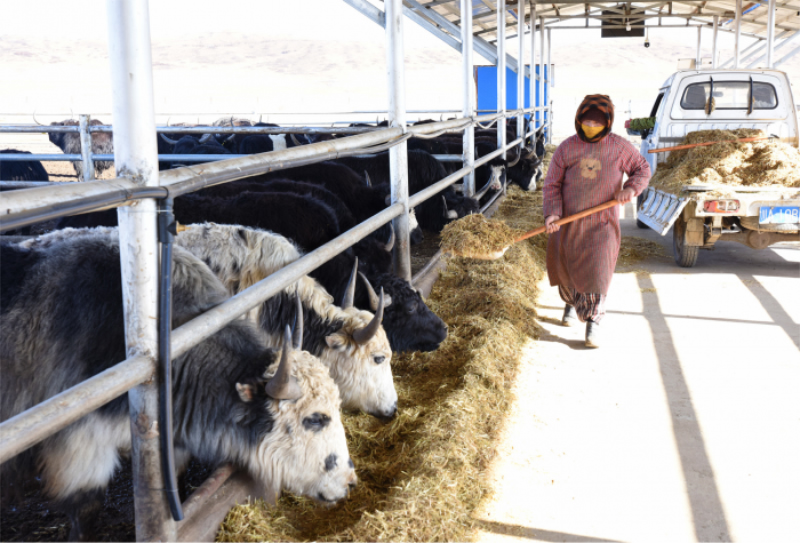 1763539751635111.jpg 未命名-1.jpg