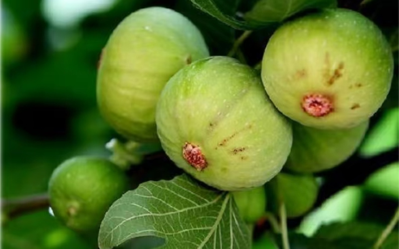 1763540209830348.jpg 未命名-1.jpg