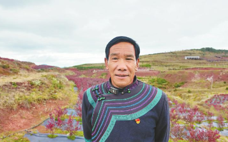 1763606510258696.jpg 未命名-1.jpg