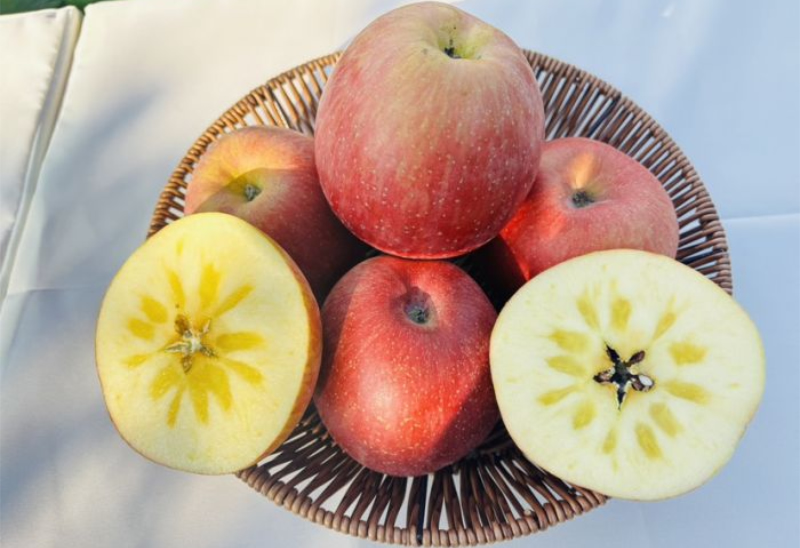 1763693885718124.jpg 未命名-1.jpg