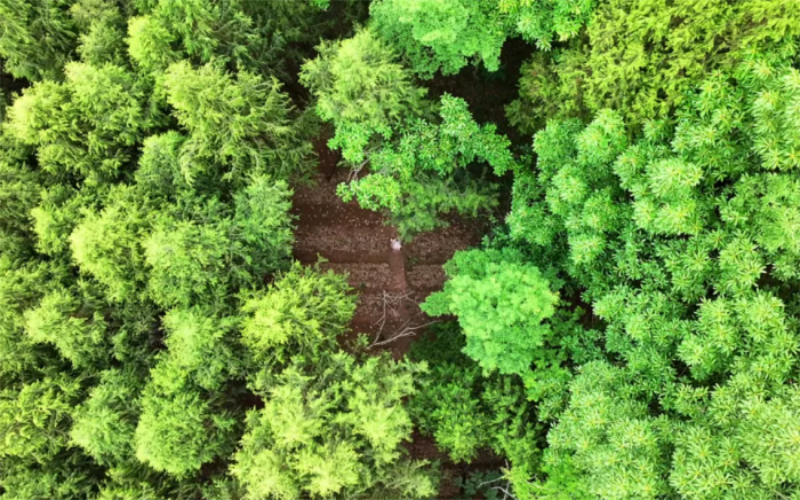 1763694169703062.jpg 未命名-1.jpg