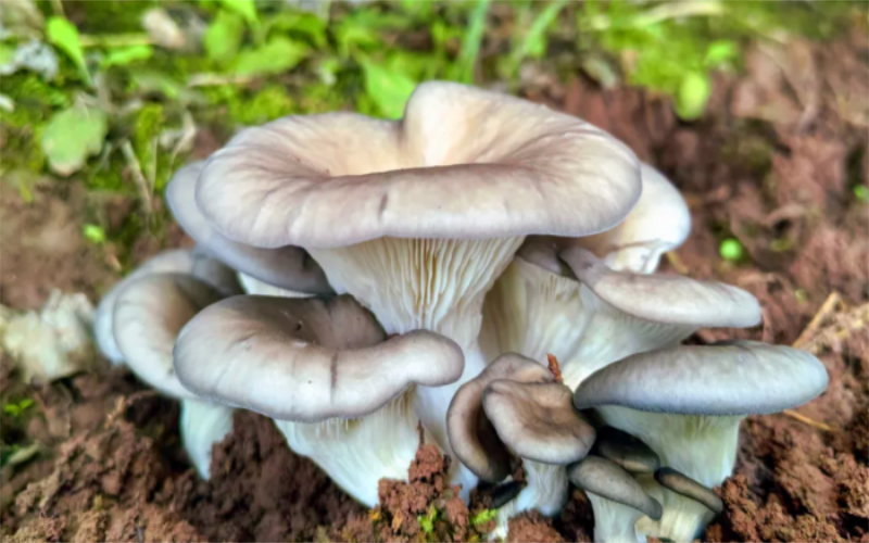 1763694194566579.jpg 未命名-1.jpg