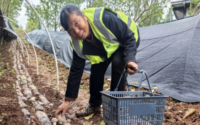 1763694283488314.jpg 未命名-1.jpg