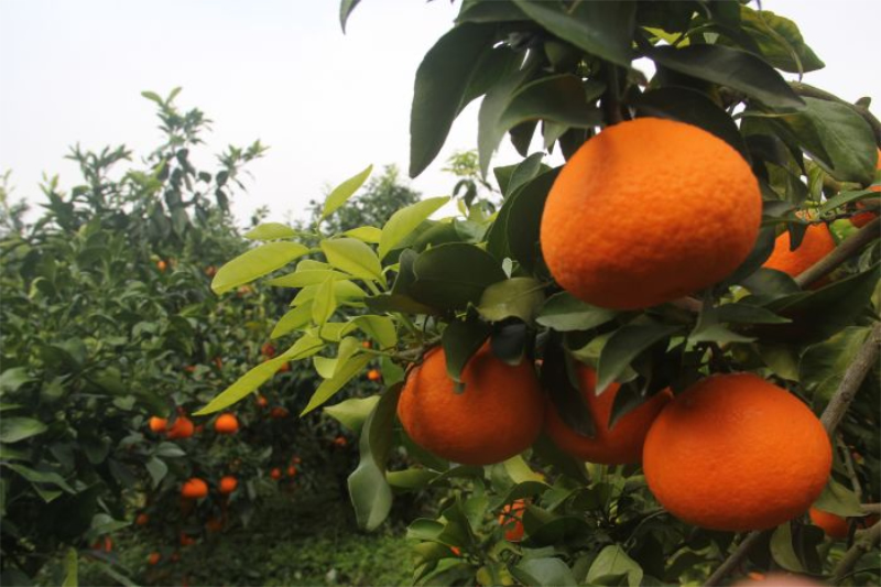 1763694504642832.jpg 未命名-1.jpg