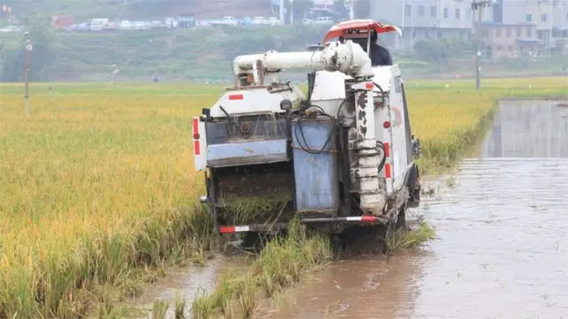 1763950541534573.jpg 未命名-1.jpg