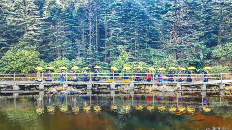 1763952345511903.jpg 69d012e4c4aa621cae9493b2f7c1fe02_d696ef28888664f81635bf81dbb78726.jpg