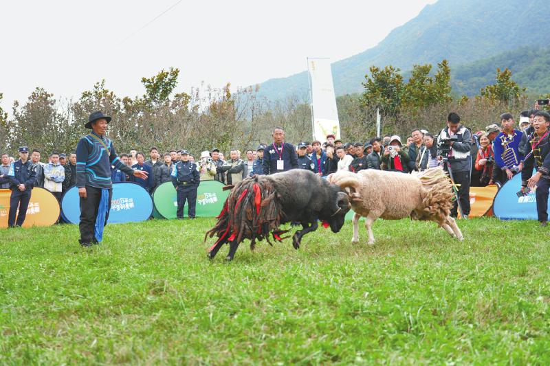 1763952461307138.jpg 0be11ea74a891488d799231279fa73fe_6f02f557c4a2a5e0178c7a1c0882e114.jpg