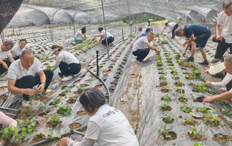 1763954121165191.jpg 未命名-1.jpg