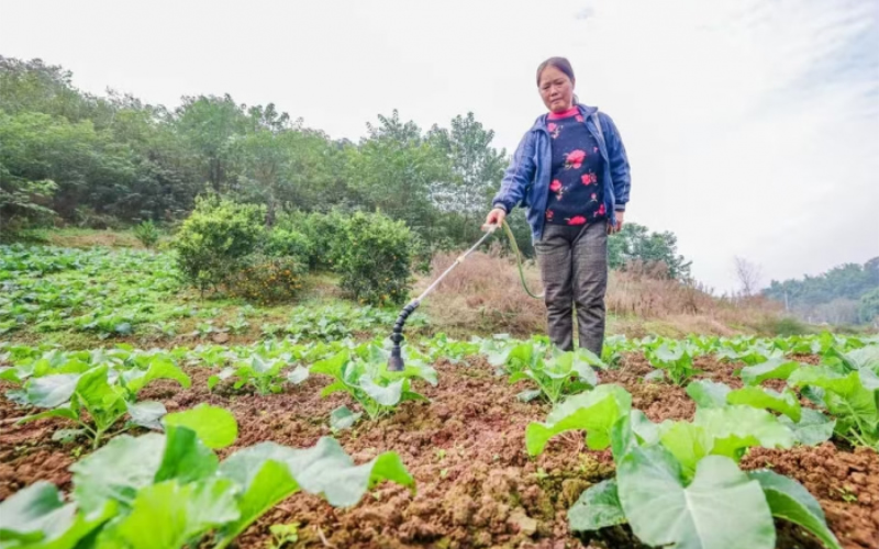 1763968422544914.jpg 未命名-1.jpg