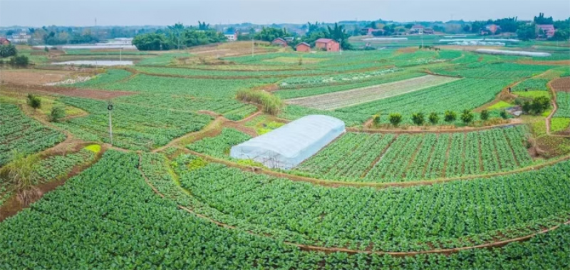 1763968436591553.jpg 未命名-1.jpg