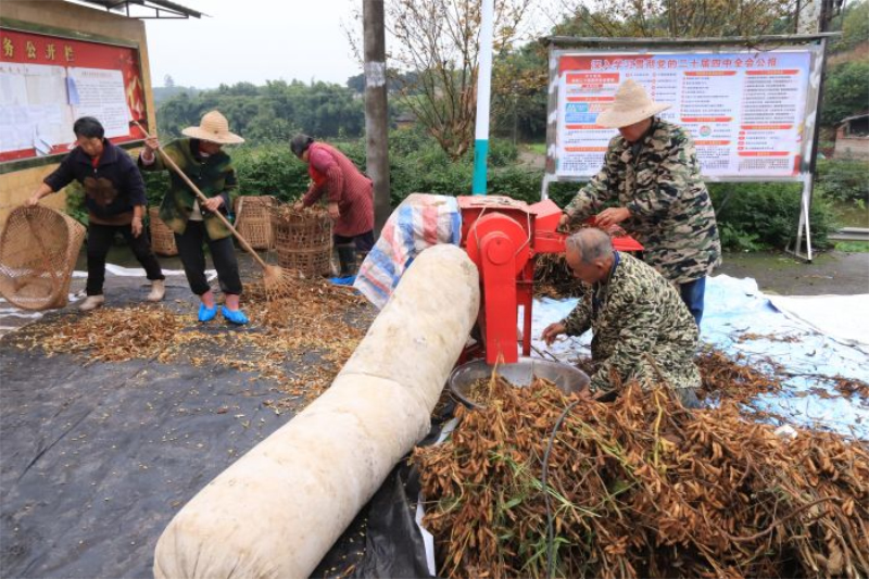 1763968582752363.jpg 未命名-1.jpg