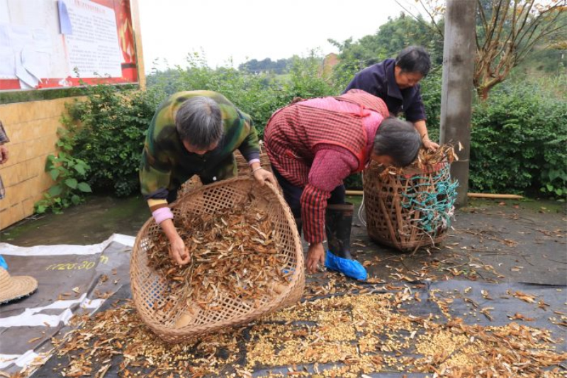 1763968614528074.jpg 未命名-1.jpg