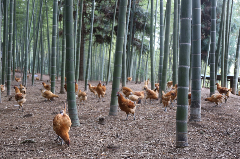 1763969208157913.jpg 未命名-1.jpg