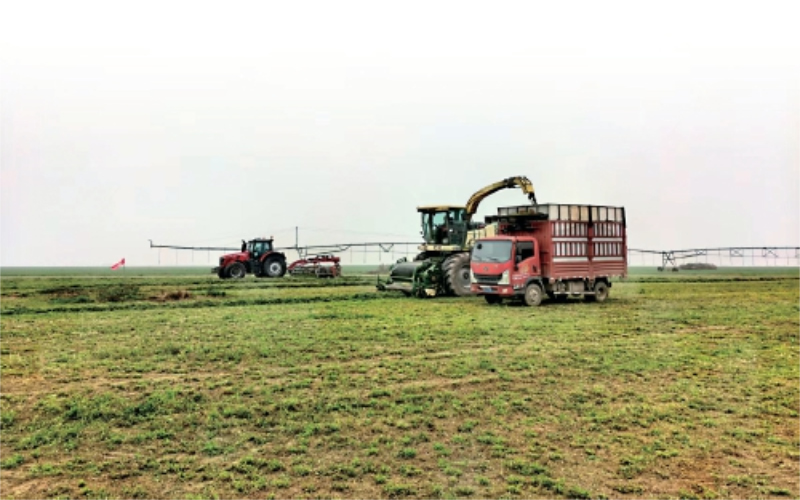 1763970482232866.jpg 未命名-1.jpg