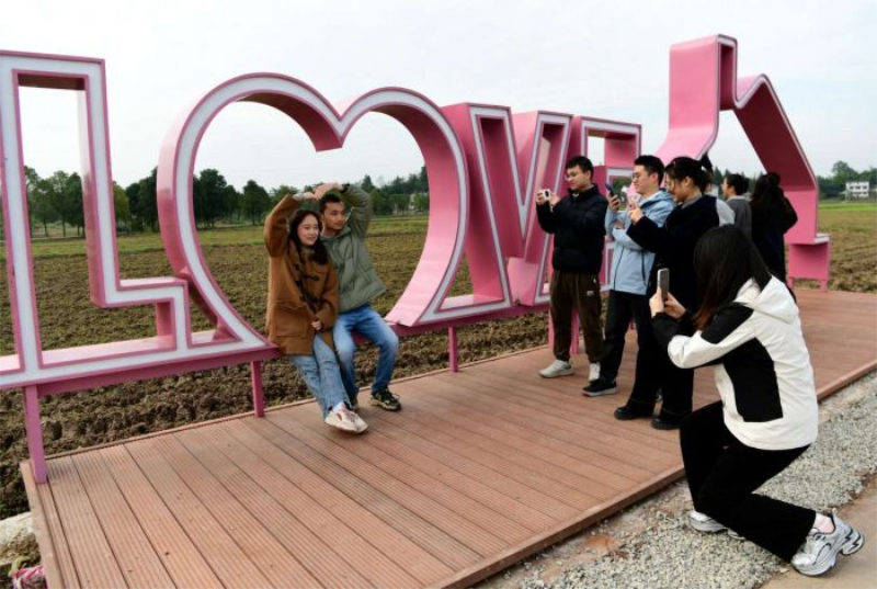 1764047826462742.jpg 未命名-1.jpg