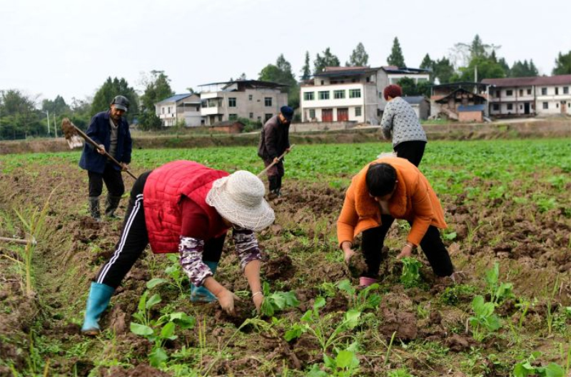 1764047885174593.jpg 未命名-1.jpg