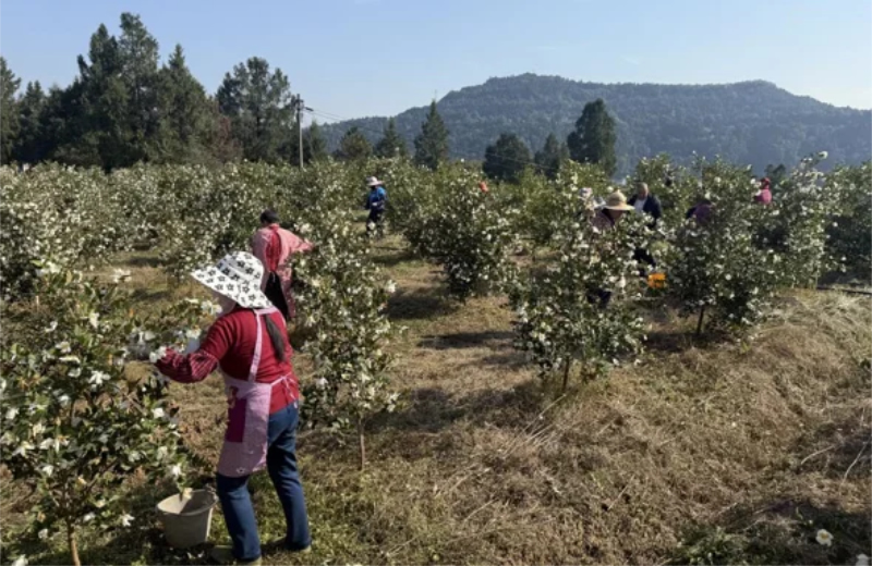 1764049063925040.jpg 未命名-1.jpg