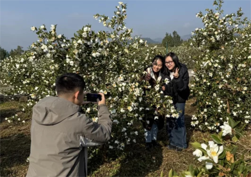 1764049085143682.jpg 未命名-1.jpg