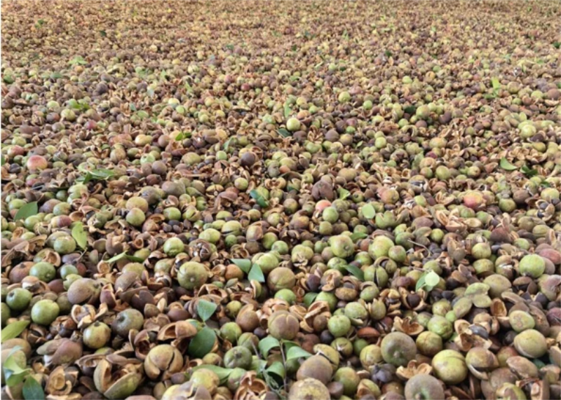 1764049108524502.jpg 未命名-1.jpg