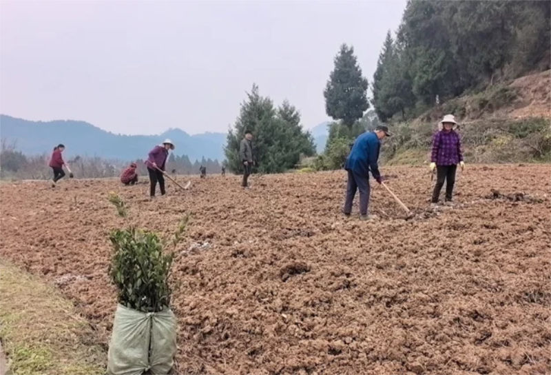 1764049224211889.jpg 未命名-1.jpg