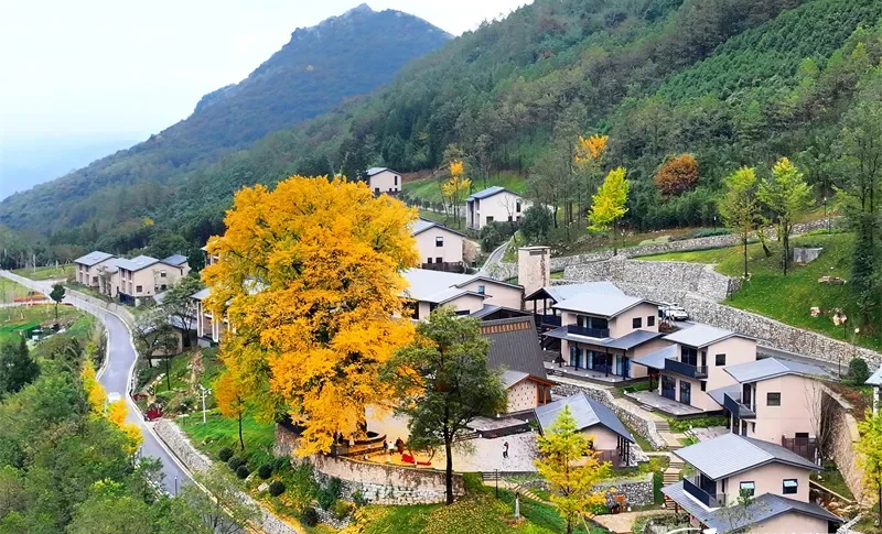 1764049501637710.jpg 未命名-1.jpg