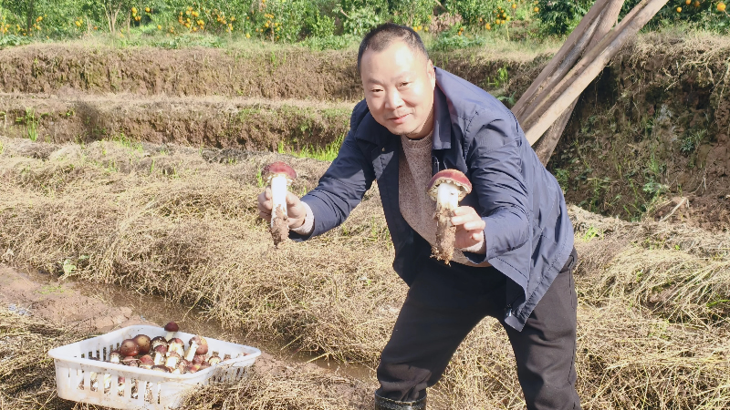 1764049737688132.jpg 未命名-1.jpg