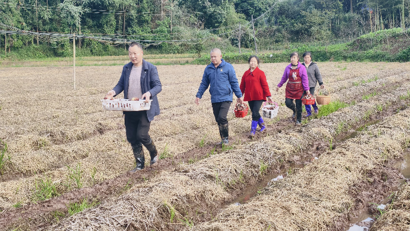 1764049767175794.jpg 未命名-1.jpg