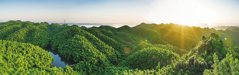 1764122627672154.png image.png